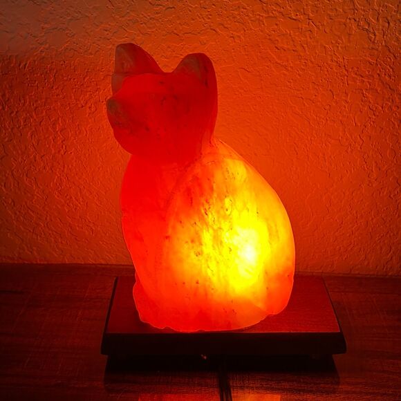 Vintage Pink Himalayan Salt Lamp Cat Shaped Carved Orange Rock Crystal Wood Base - Picture 2 of 13